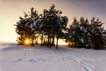 Dahany winter