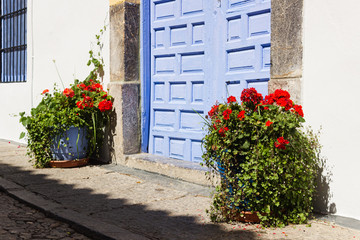 Fototapeta na wymiar Fiesta de los patios, Cordoba, Spain. Door decorated with flowers.