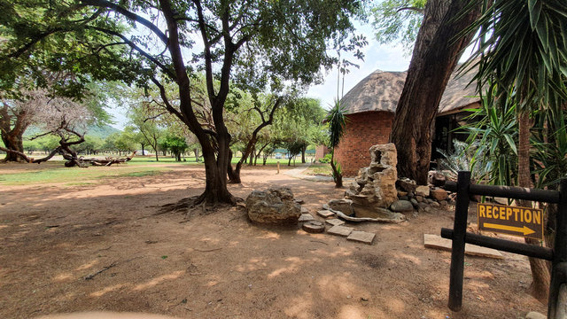 Pilanesberg National Park in South Africa