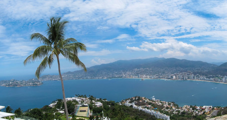 Panoramic view of Acapulco Bay in Mexico, the Pacific Ocean. palm tree close-up on the background of the Bay