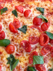 Close up view of a cheese pizza with cherry tomatoes and fresh basil