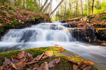 Long exposure photography of a beautiful river stream in a forest at fall season