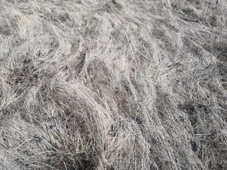 background of texture