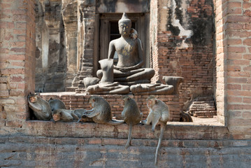 Monkeys sitting in front of Budha statue at Ruins in Lopburi, Ancient  Monkey Town (Prang Sam Yot) North Thailand