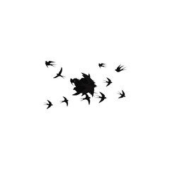 birds fly from a single point on a white background