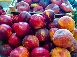 Fresh plums are in a drawer in the store.