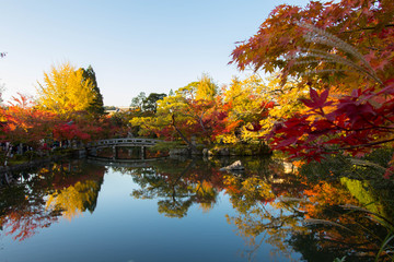 Fototapeta premium autumn season in kyoto japan