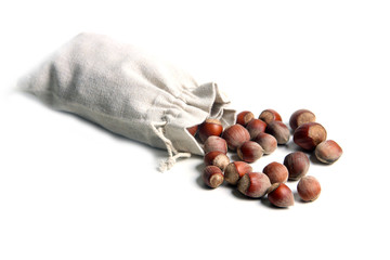 a canvas of filbert isolated on white background flat lay