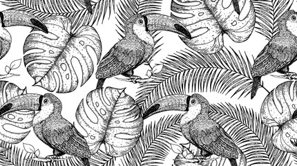 Seamless pattern with toucan and palm leaves. Hand drawn vector illustration. Tropical pattern. Jungle sketch illustration. © vidimages