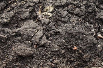 unearthed ground in the garden, background texture