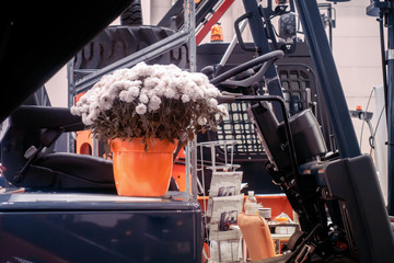 Flowerpot with white chrysanthemums stand on a forklift