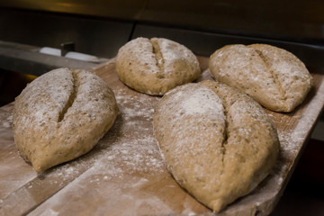 bread loafs ready to get inside the oven