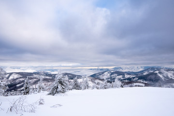 Naklejka premium Beautiful view of winter hills covered with snow in Beskydy Mountains, Slovakia Beskid Mountains