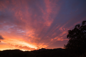 Willamette Valley Sunset. Sunset over the Willamette Valley near Corvallis, Oregon with Oregon White Oak in the foreground.