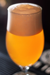 close up craft beer on wooden table