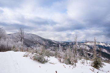 view of beautiful Velko Raca in Beskydy mountains in winter and covered with snow, slovakia beskydy