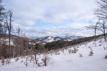 view of beautiful Velko Raca in Beskydy mountains in winter and covered with snow, slovakia beskydy