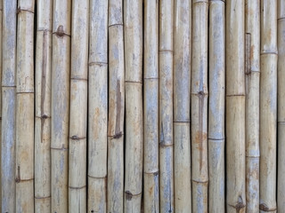 bamboo plank fence texture for background.