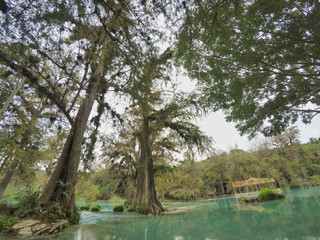 tree on the shore of the turquoise river,beautiful small waterfalls, Waterfall hidden in the (EL...