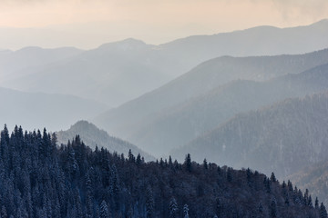 Snowy winter landscape of mountains. Coniferous forest in the hoarfrost. View of layers of mountain and haze in the hills at distance. Season of the winter.