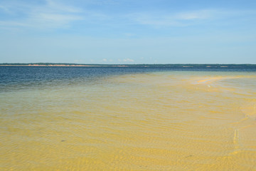 The clean and transparent water of the natural beaches of the Amazon river in Brazil il the middle of the forest