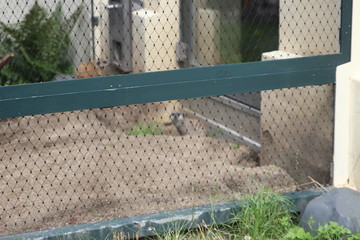 Wunderschöne Tiere aus dem Tierpark in Schönbrunn Wien
