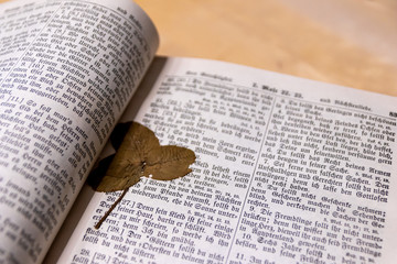 Alter Text einer antiken Lutherbibel zeigt die evangelische Kirche und Übersetzung von Martin...