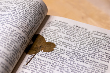 Alter Text einer antiken Lutherbibel zeigt die evangelische Kirche und Übersetzung von Martin...