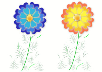 Two colorful flowers, objects white isolated. Vector.