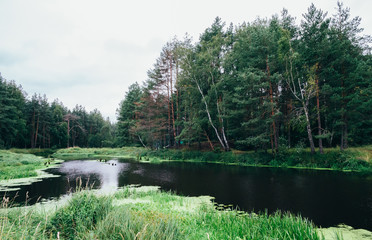 Fototapeta na wymiar Nerskaya River, Podmoskovie, Russia