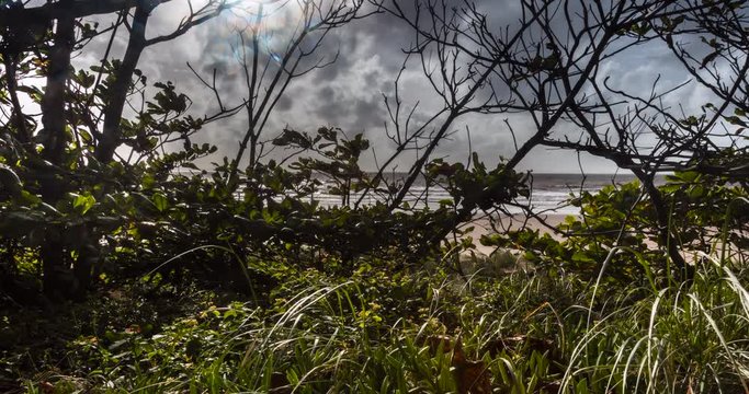Time lapse impressions from Gold Coast Australia, motion control timelapse through branches or trees with view to the Pacific Ocean. Captured at Corindi Beach at the newfoundland state forest.