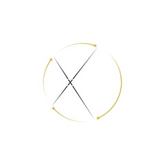 Letter X logo isolated on white background