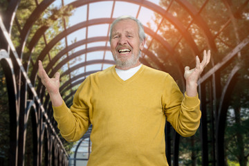Happy old senior man with arms up in the park Portrait of grandfather rejoicing in greenhouse background.