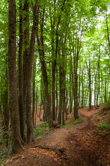 Adygea, Russia