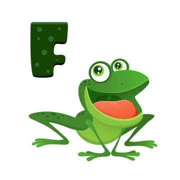 vector image of a bright cartoon cute green frog with big eyes and wide mouth, long frog legs, swamp toad, isolated on white eps 10, illustration for print, kids funny alphabet mascot with smile 