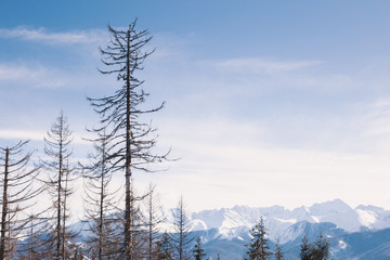 Snowy mountains in nice sun day. Caucasus Mountains, Georgia. View from ski resort Gudauri.