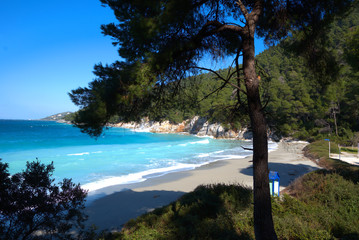  Skopelos island , the beach of Kastani Greece.