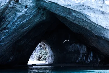 Plexiglas foto achterwand seagull flying outside cathedral cove cave in new zealand © Per