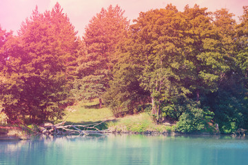 Wooded lakeshore in the evening. Natural landscape