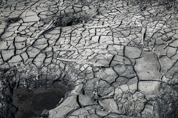 cracked earth texture in geothermal area of rotorua