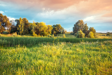 Rural landscape with the beautiful evening sky. Green meadow in summer