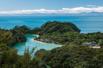 Naklejka premium tropical lagoon in the sea in abel tasman national park