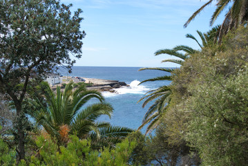Fototapeta na wymiar Landscape at Bondi to Bronte Coastal Walk Sydney Bondi Beach in New South Wales Australia