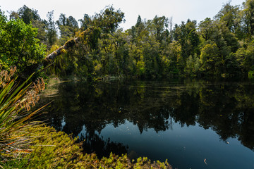 Fototapeta na wymiar reflection of trees in water at mirror tarn in kahurangi np new zealand