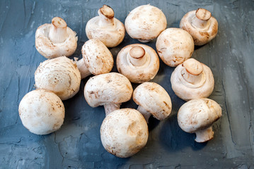 Full frame shot of raw champignon porcini mushrooms on gray background.