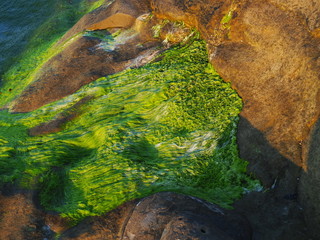 Sunset over tide pools in La Jolla