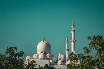 Fototapeta na wymiar The grande mosque of Abu Dhabi.