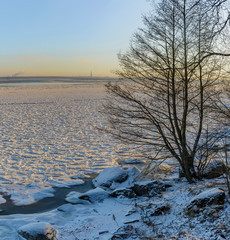 Sunny day February 29, 2020 on the shores of the Gulf of Finland.