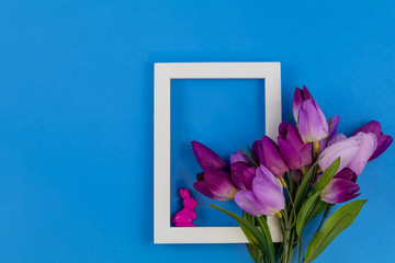 White photo frame and purple tulips on medium blue paper background for Spring and Easter, Flat lay, top view, copy space.