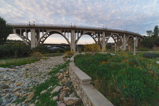 Reginald Desiderio Park in Pasadena and the Colorado Street bridge over the Arroyo Seco. Image taken at dusk. Golden poppies are seen in the foreground.